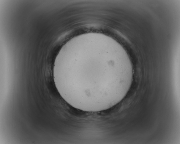 X0000084020918200703091945