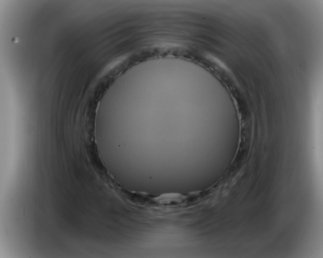 X0000084020919200703091945