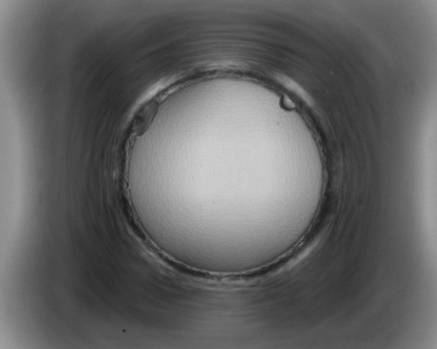 X0000084020922200703091945