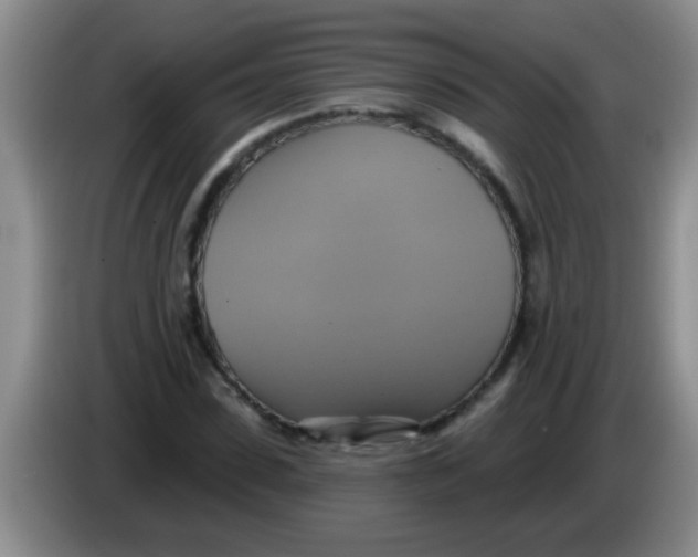 X0000084020923200703091945