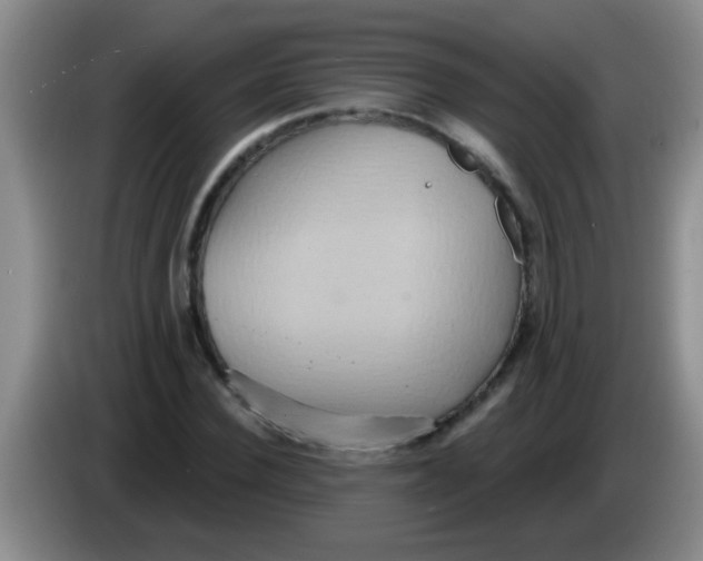 X0000084020924200703091945