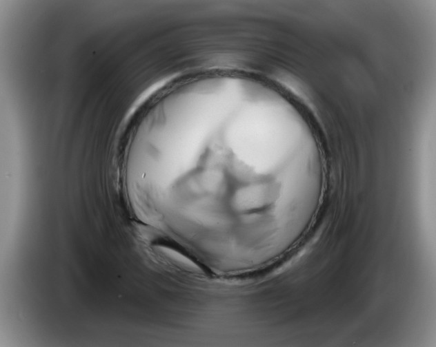 X0000084020925200703091945