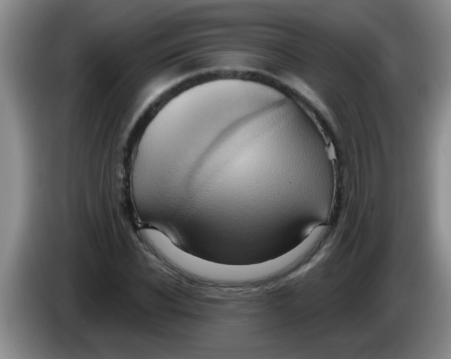 X0000084020926200703091945