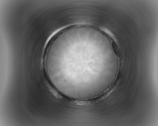 X0000084020928200703091945