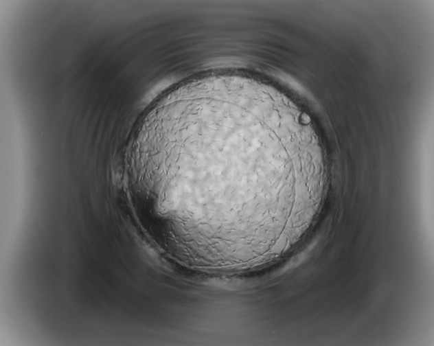 X0000084020929200703091945