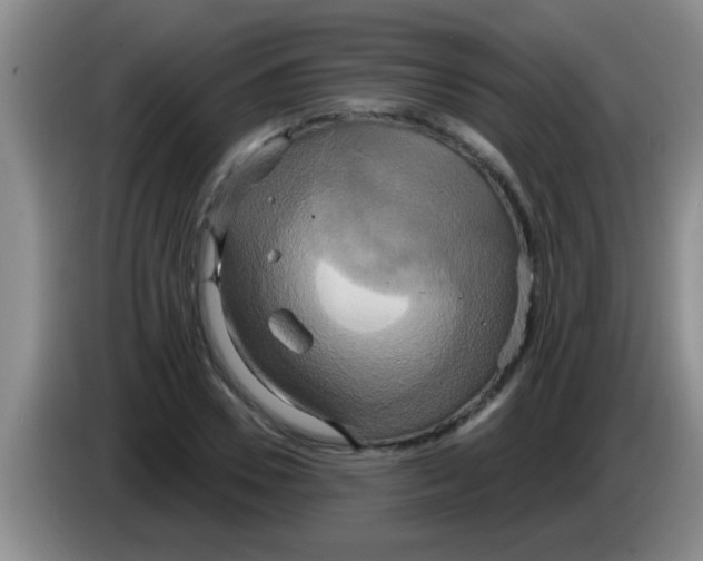 X0000084020930200703091945