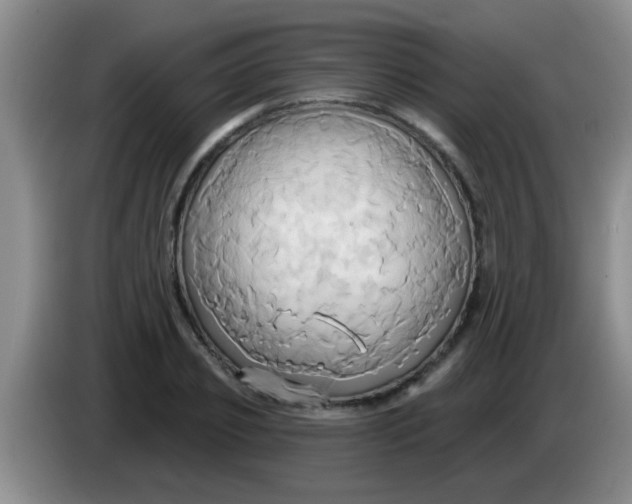 X0000084020933200703091945