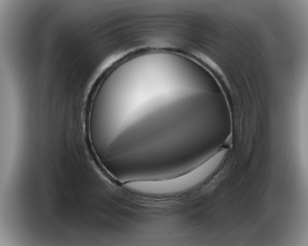 X0000084020935200703091945