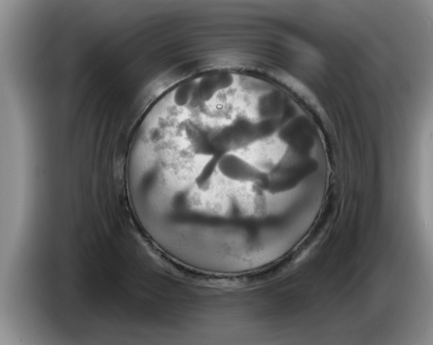 X0000084020937200703091945