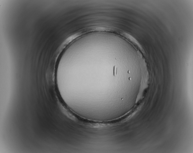 X0000084020938200703091945