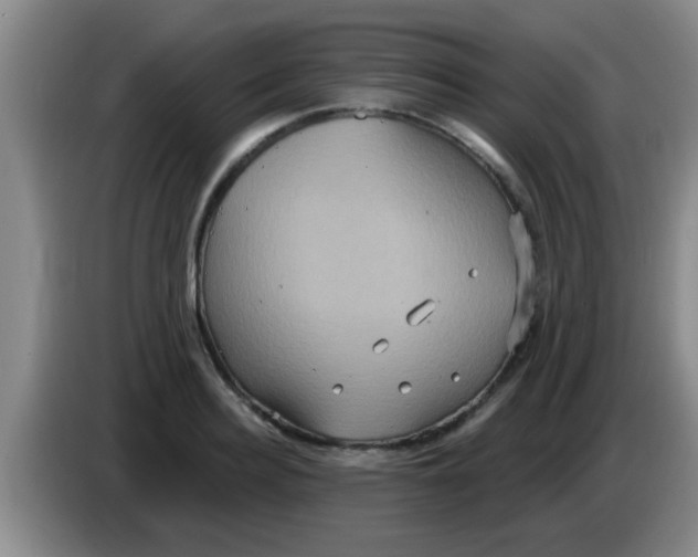 X0000084020940200703091945