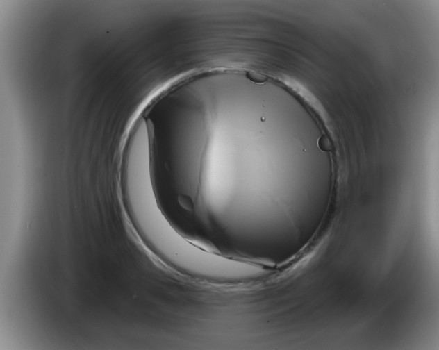 X0000084020941200703091945