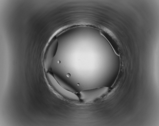 X0000084020942200703091945