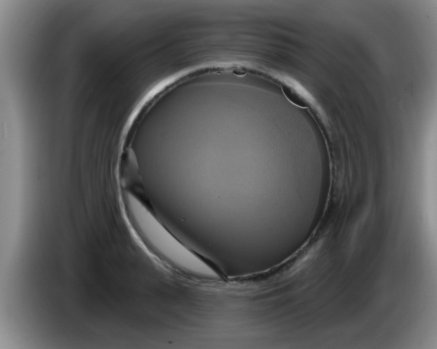 X0000084020943200703091945