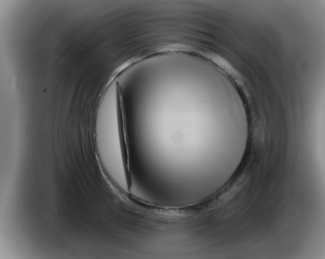 X0000084020945200703091945