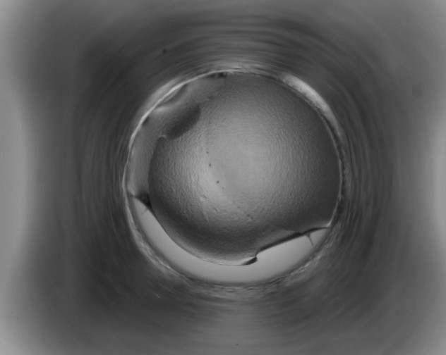 X0000084020946200703091945