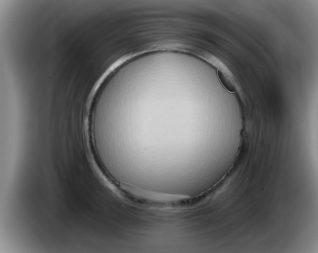 X0000084020947200703091945