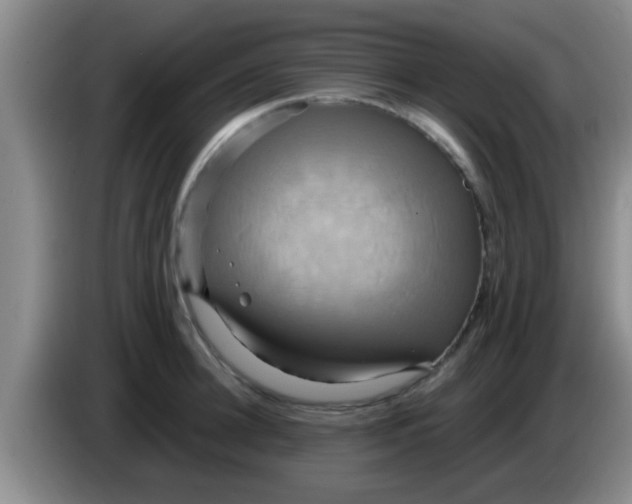 X0000084020948200703091945