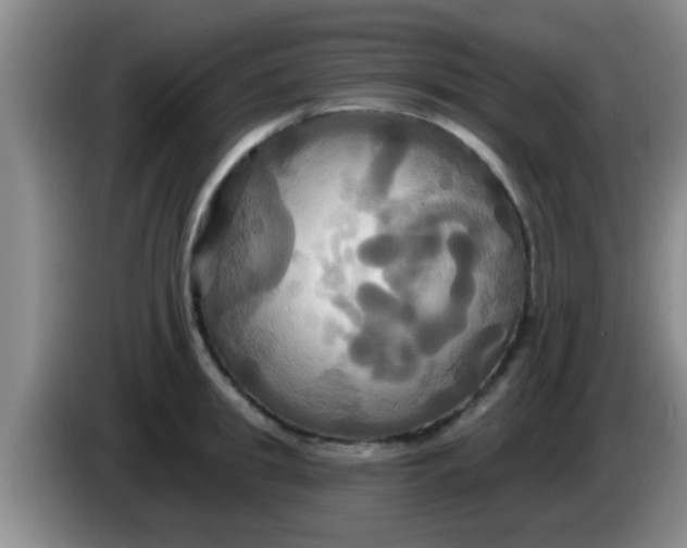 X0000084020949200703091945