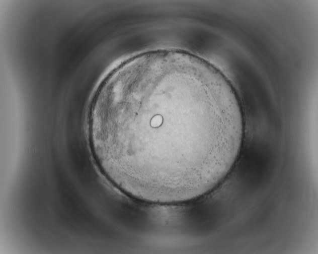 X0000084020950200703091945