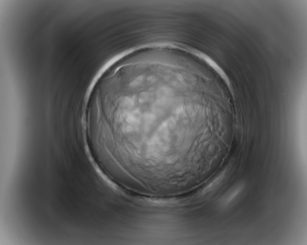 X0000084020951200703091945