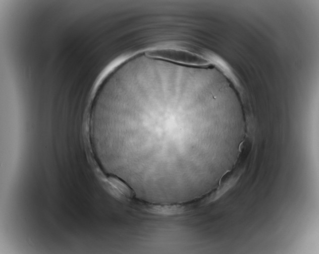 X0000084020952200703091945