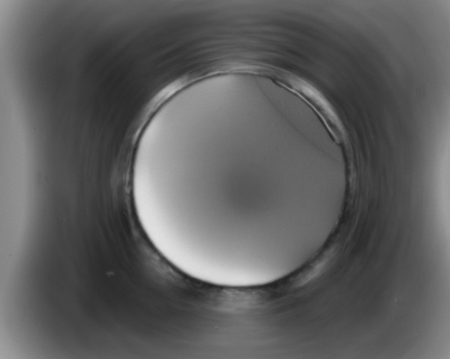 X0000084020954200703091945