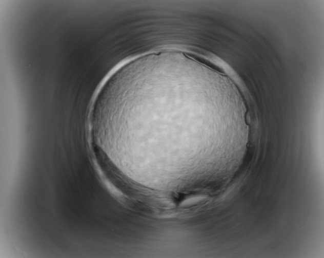 X0000084020955200703091945