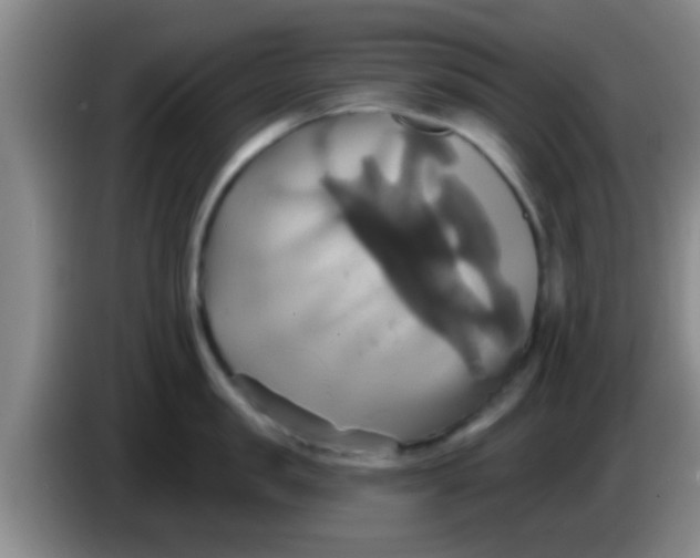 X0000084020957200703091945