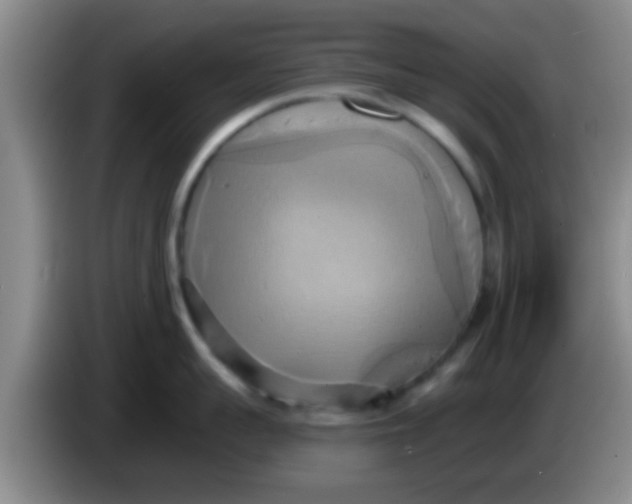 X0000084020959200703091945