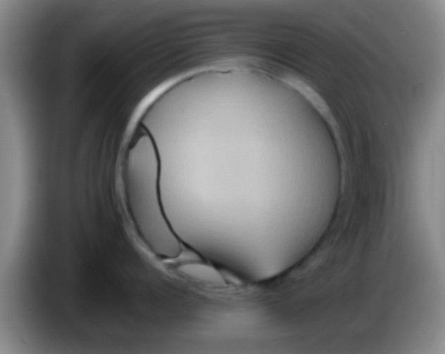 X0000084020960200703091945