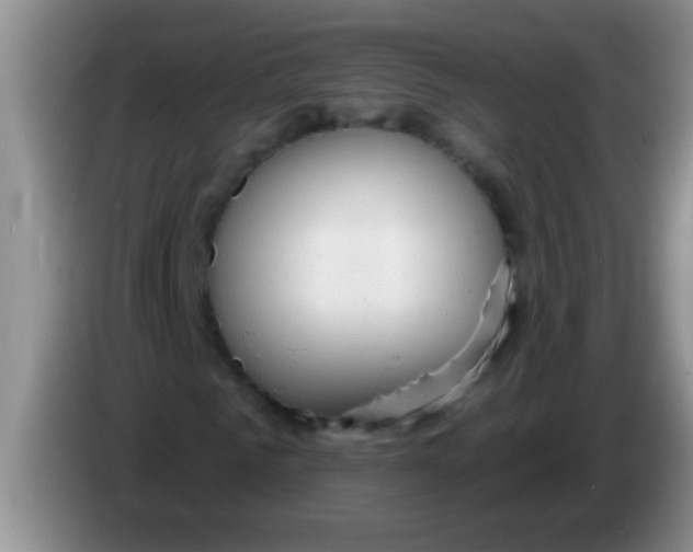 X0000084020961200703091945