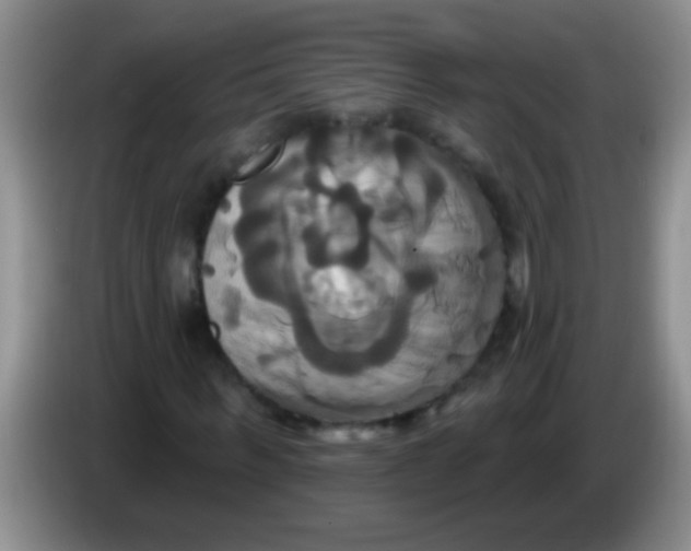 X0000084020963200703091944