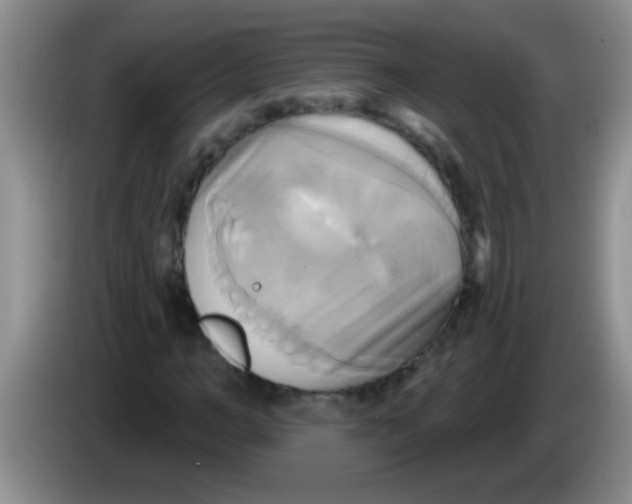 X0000084020966200703091944