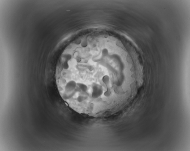 X0000084020967200703091944