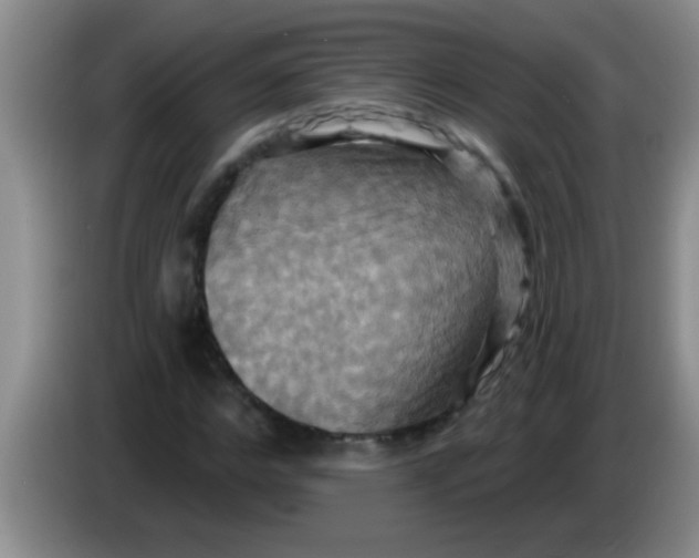 X0000084020968200703091944