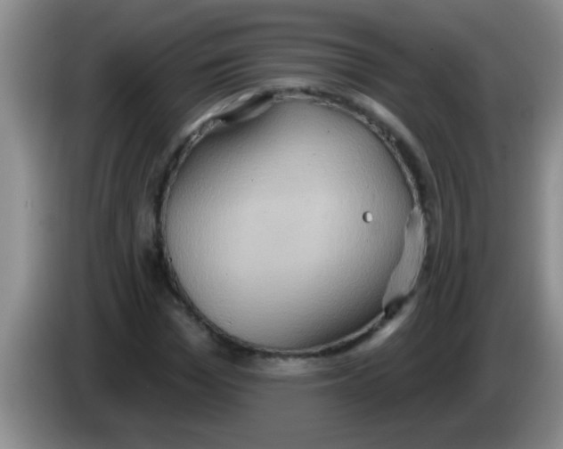 X0000084020969200703091944