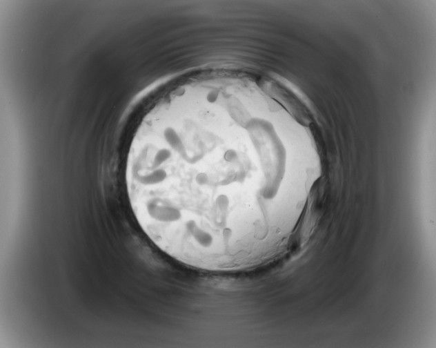 X0000084020971200703091944