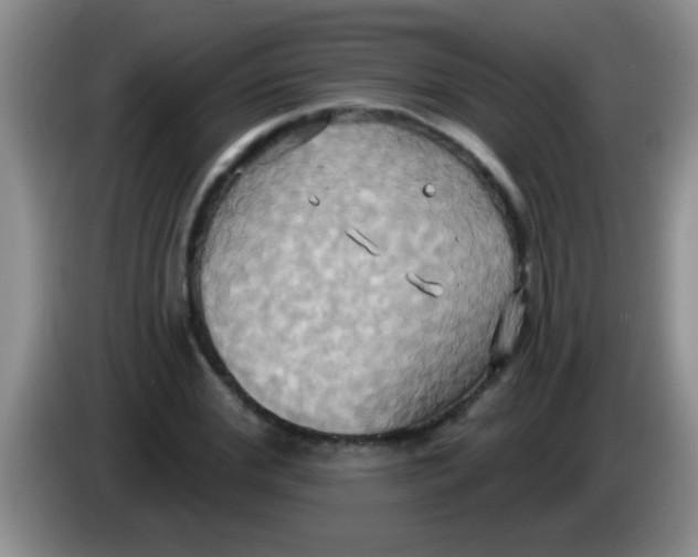 X0000084020972200703091944