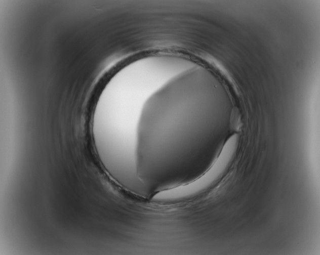 X0000084020975200703091944