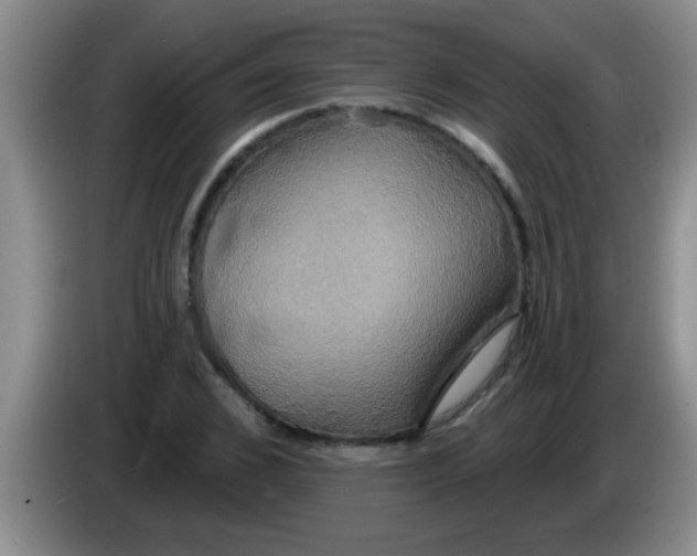 X0000084020976200703091944