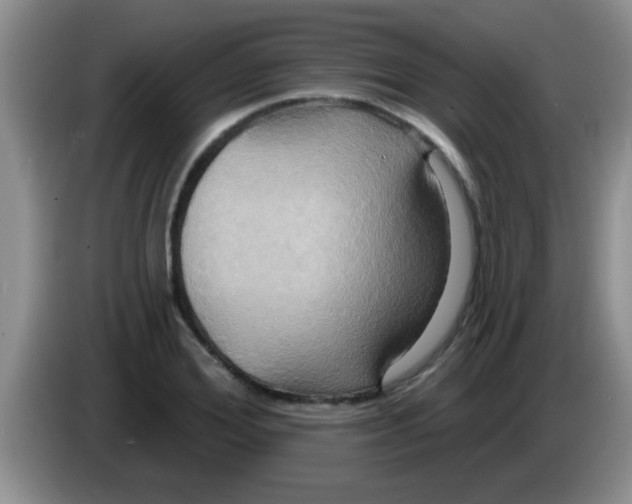 X0000084020980200703091944