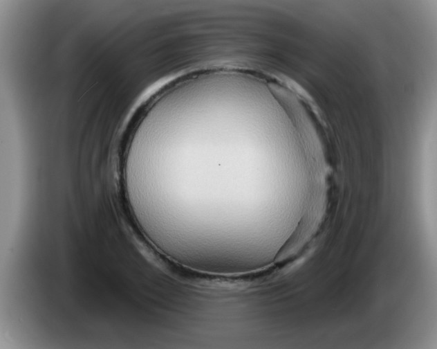 X0000084020981200703091944