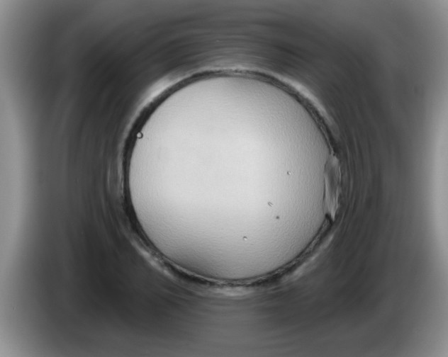 X0000084020982200703091944