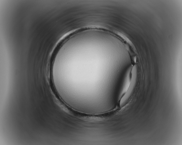 X0000084020984200703091944