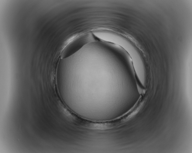 X0000084020985200703091944