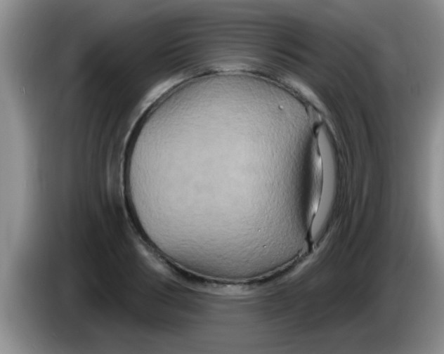 X0000084020986200703091944