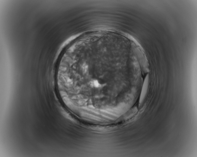 X0000084020987200703091944