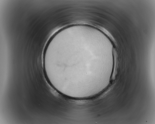 X0000084020988200703091944