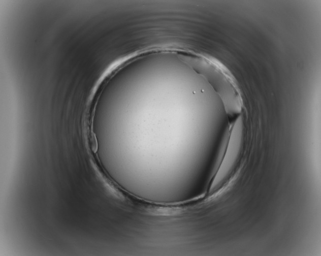 X0000084020989200703091944